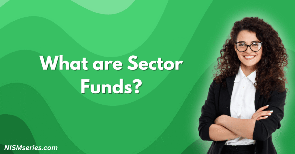 What are Sector Funds