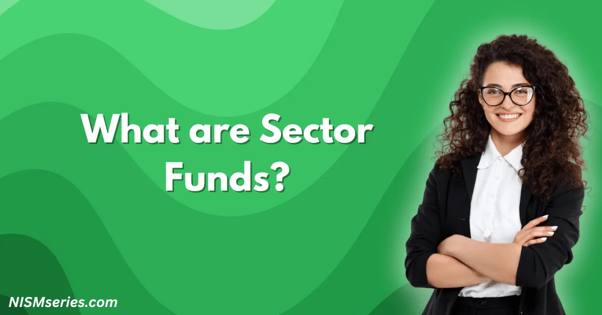 What are Sector Funds
