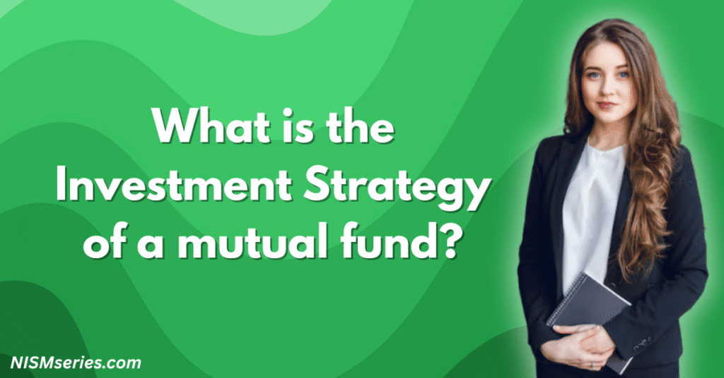 What is the Investment Strategy of a mutual fund